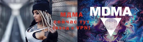 гидра Богородск