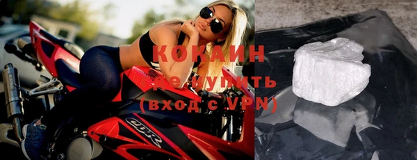 гидра Богородск