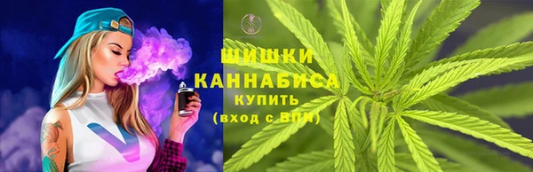гидра Богородск