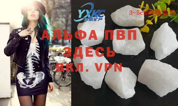 ПСИЛОЦИБИНОВЫЕ ГРИБЫ Богданович