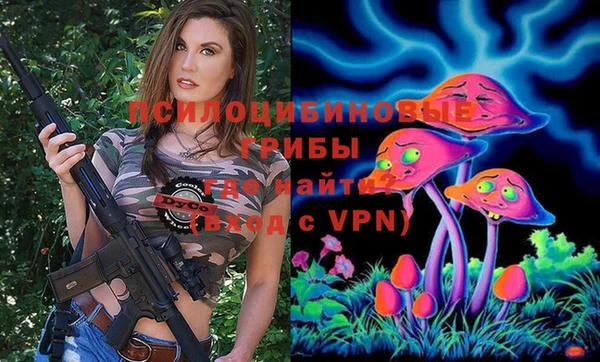 гидра Богородск