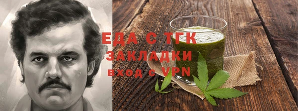 гидра Богородск