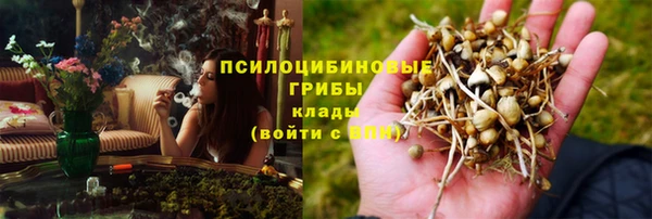 гидра Богородск
